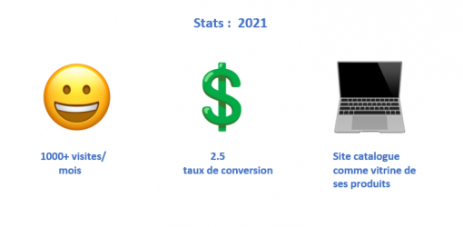 Stats-Scantek-Solutions-Client-Agence-web-Linkeo-site-catalogue